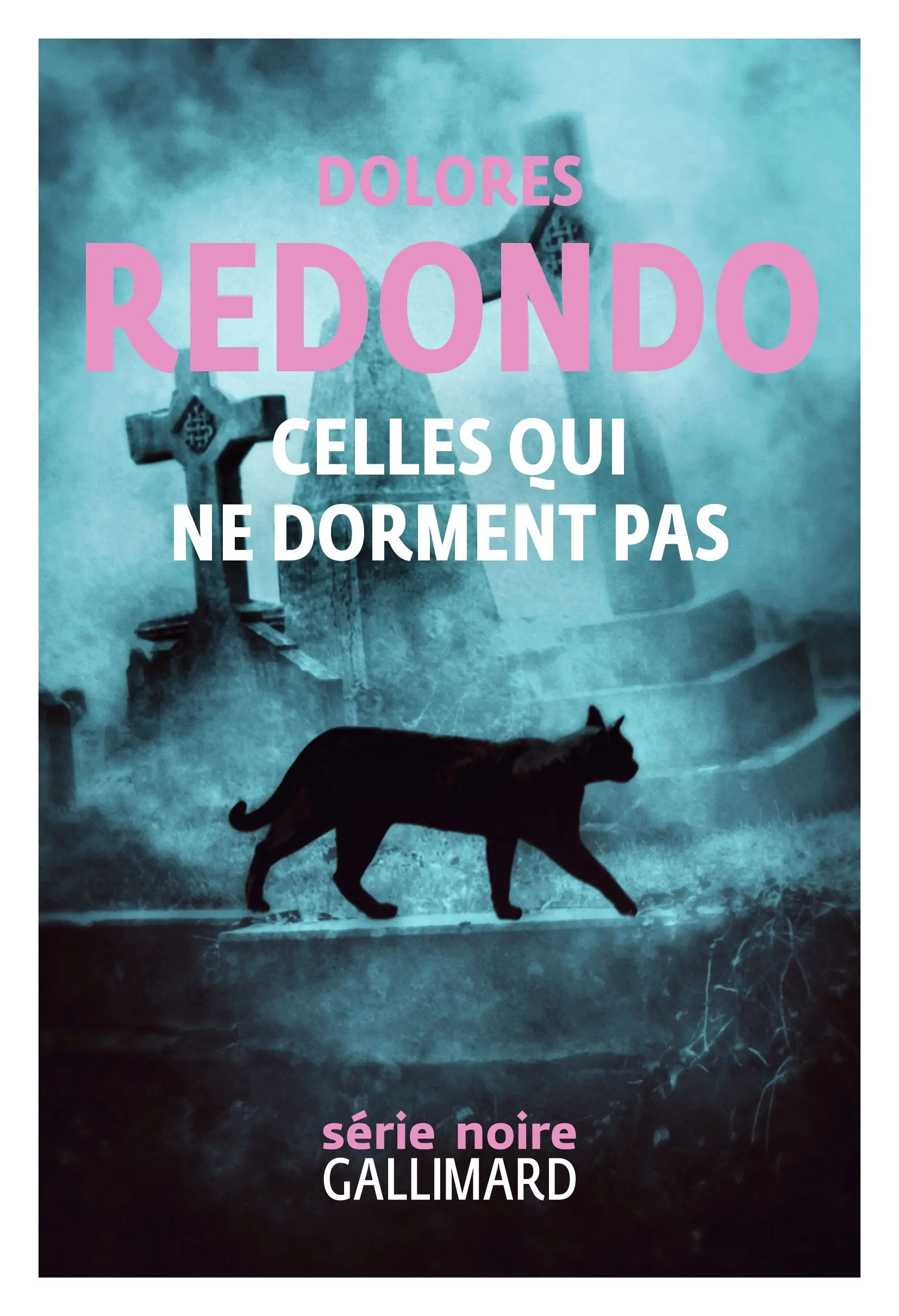 Couverture du livre: Celles qui ne dorment pas