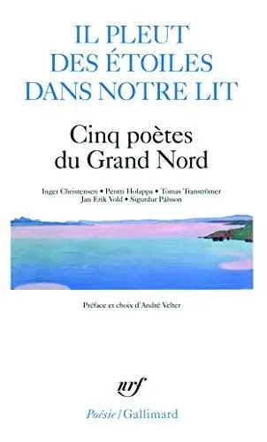 Couverture du livre: Il pleut des étoiles dans notre lit