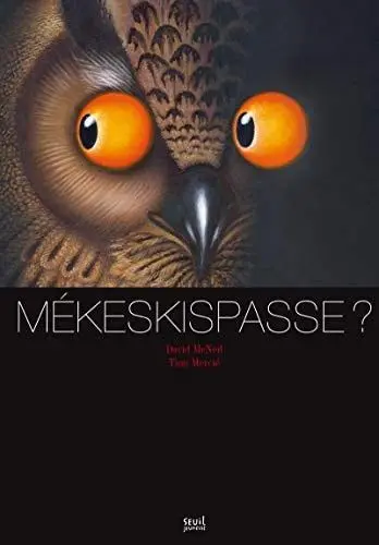 Couverture du livre: Mékeskispasse ?