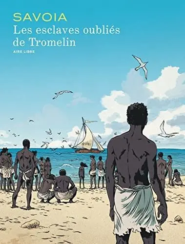 Couverture du livre: Les esclaves oubliés de Tromelin